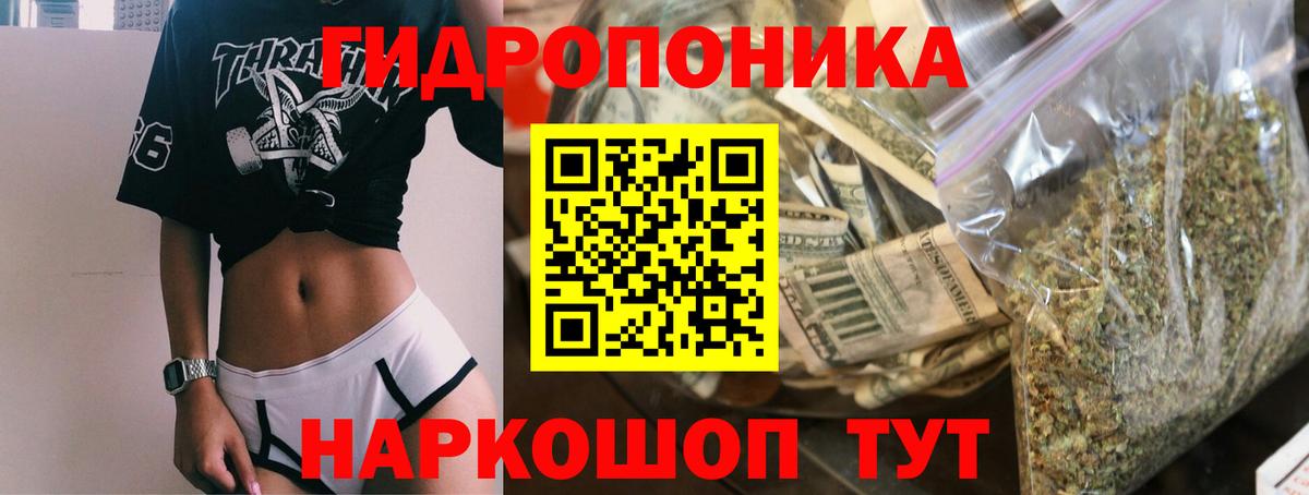 Канабис White Widow  Бошки Шишки марихуана  Бошки Шишки планчик  Сергиев Посад  Вход с VPN 